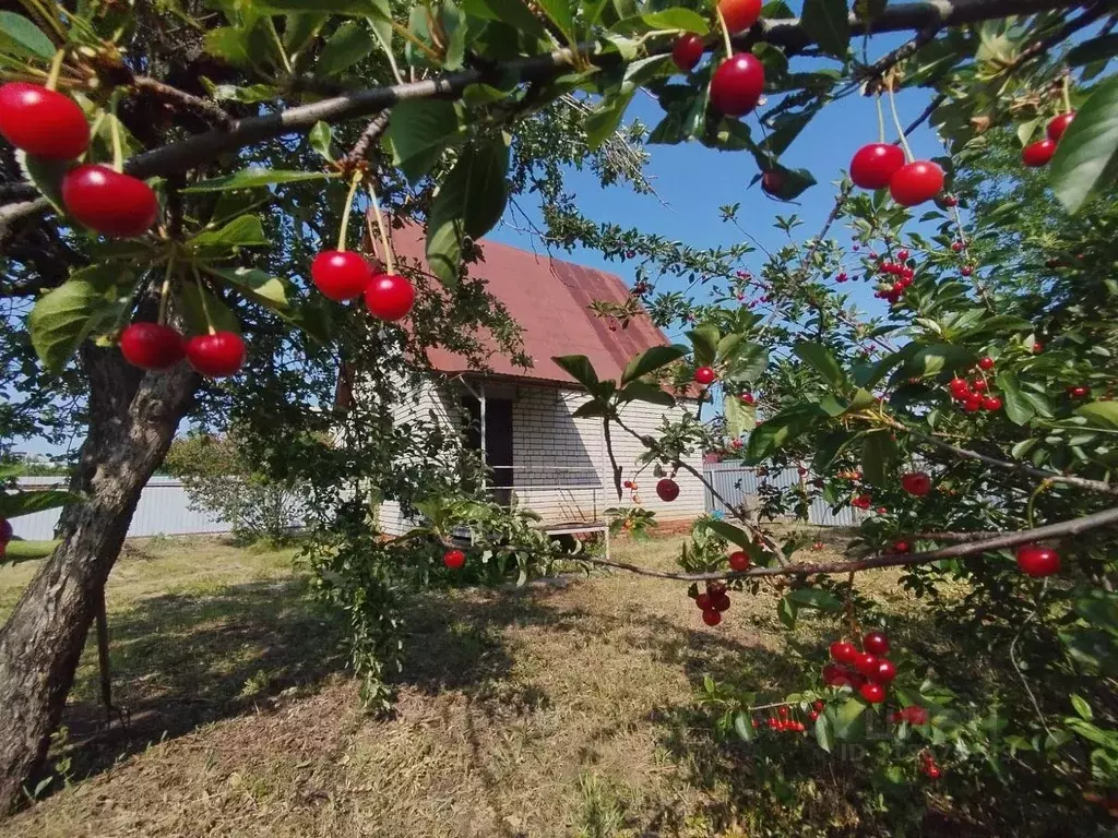Дом в Саратовская область, Энгельсский район, Красноярское ... - Фото 1