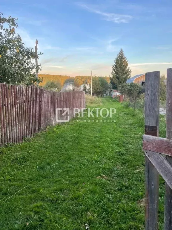 Участок в Костромская область, Красносельский район, Боровиковское ... - Фото 2