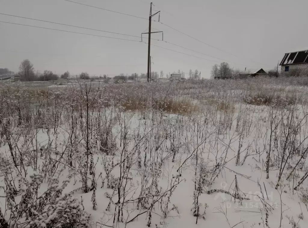 Участок в Пензенская область, Бессоновский район, с. Ухтинка  (10.0 ... - Фото 1