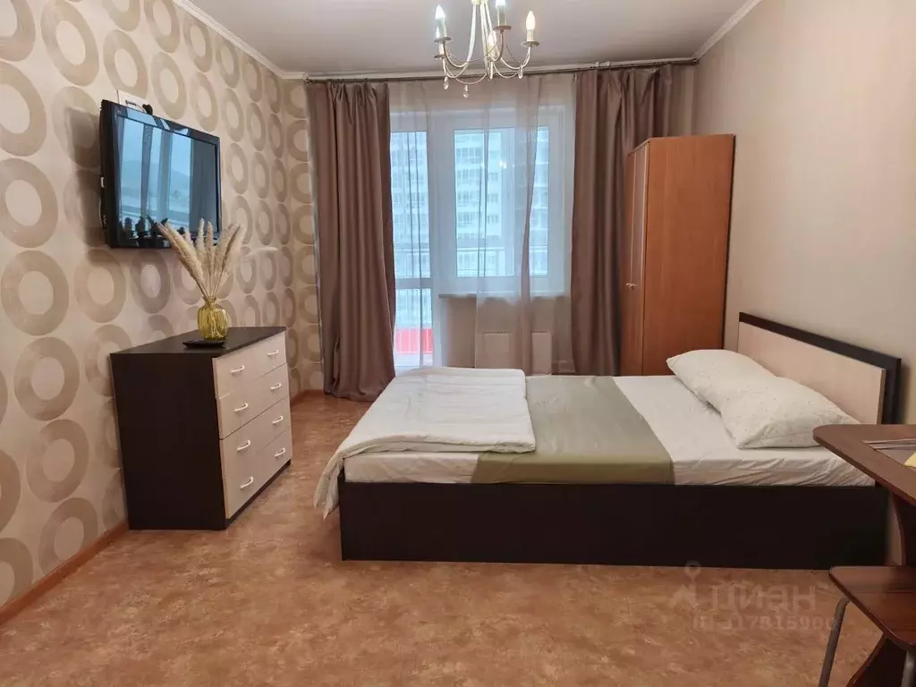 1-к кв. Красноярский край, Красноярск наб. Ярыгинская, 9 (28.0 м) - Фото 1