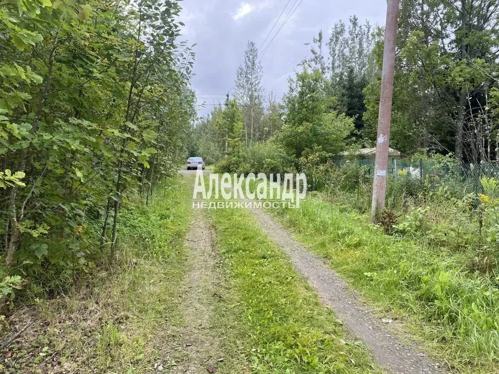 Участок в Ленинградская область, Тосненский район, Трубникоборское ... - Фото 2
