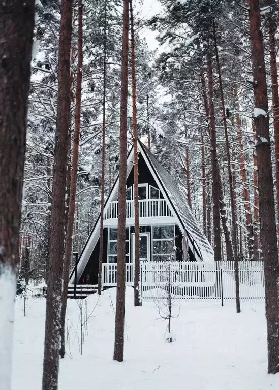 Дом в Ленинградская область, Всеволожский район, Бугровское городское ... - Фото 2