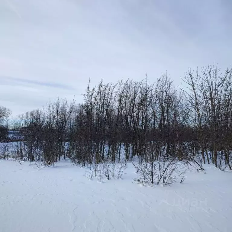 Участок в Московская область, Павлово-Посадский городской округ, д. ... - Фото 0