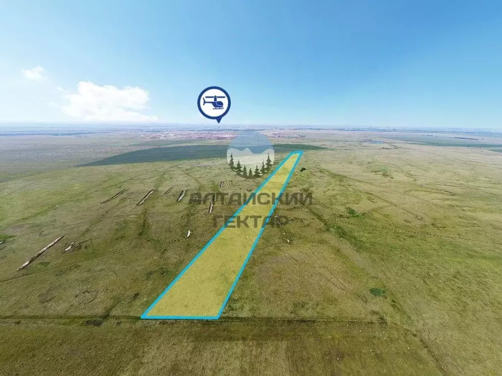 Участок в Алтайский край, Курьинский район, с. Новофирсово  (12178.9 ... - Фото 1