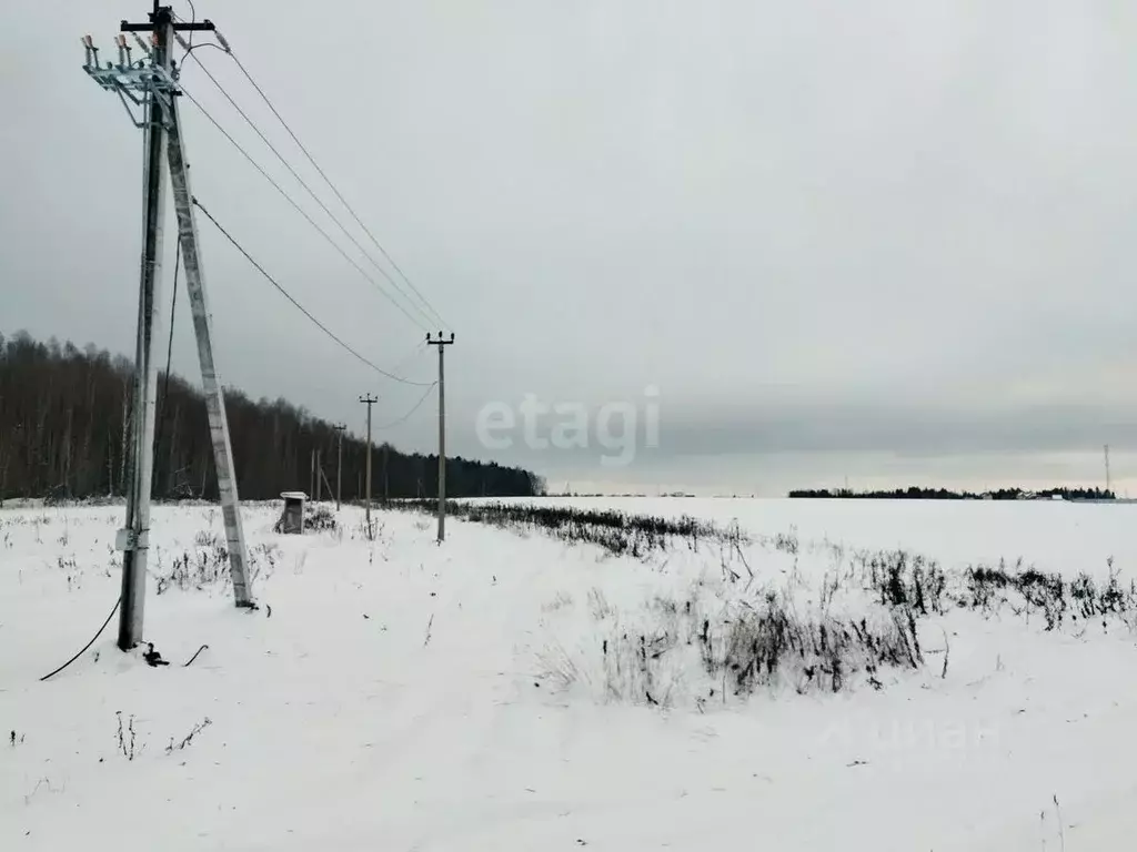 Участок в Пермский край, д. Скобелевка  (12.5 сот.) - Фото 1