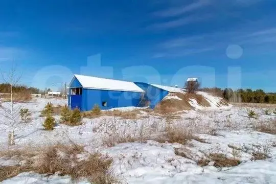 Производственное помещение в Тюменская область, Нижнетавдинский ... - Фото 1