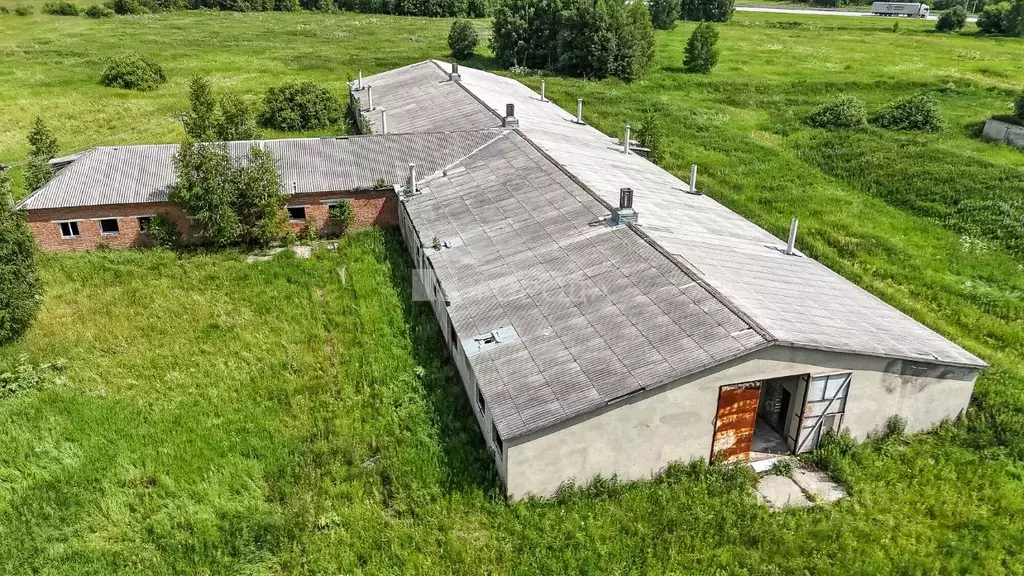 Склад в Новосибирская область, Мошковский район, с. Барлак  (1931 м) - Фото 1