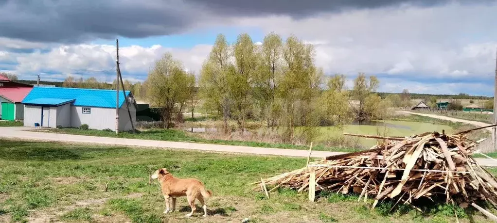 Дом 29,9 м на участке 30 сот. - Фото 0