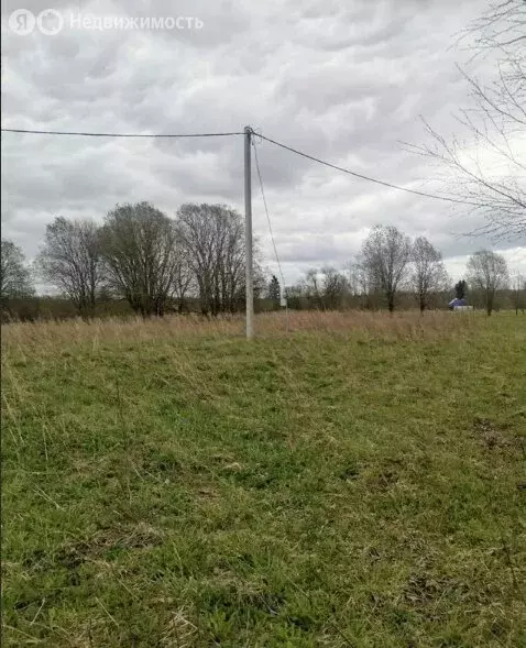 Участок в Волосовский район, Большеврудское сельское поселение, ... - Фото 2