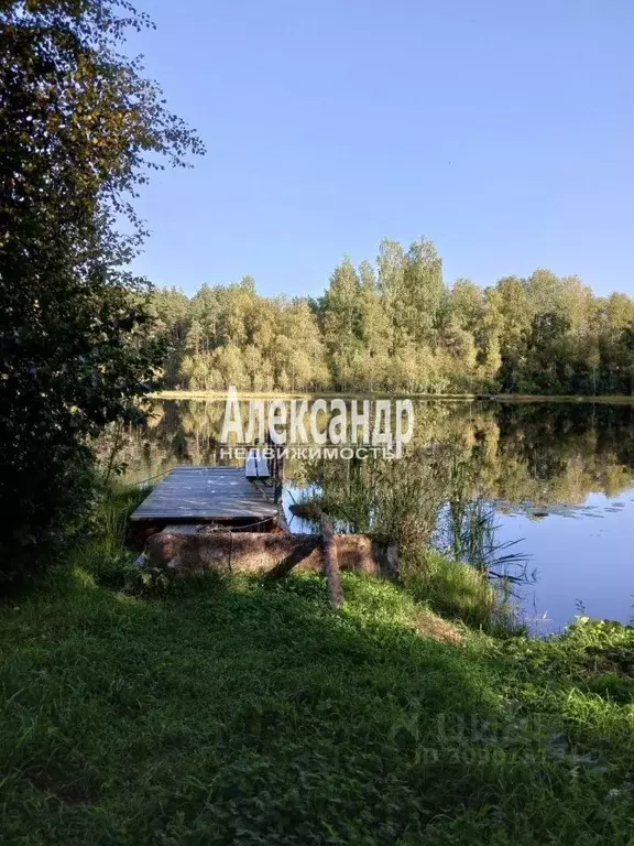 Участок в Ленинградская область, Приозерский район, Кузнечнинское ... - Фото 1