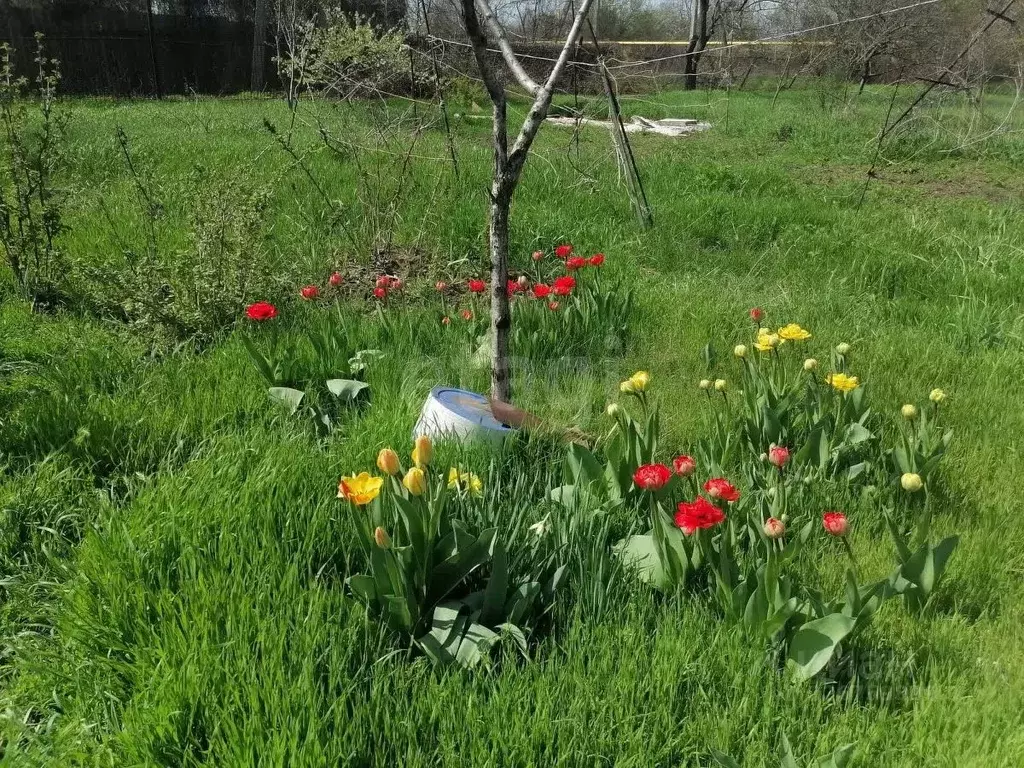 Участок в Ростовская область, Таганрог пос. Вечность, ул. Большая ... - Фото 2