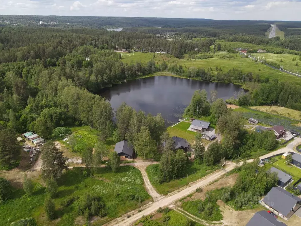 Участок в Ленинградская область, Всеволожский район, Куйвозовское ... - Фото 1