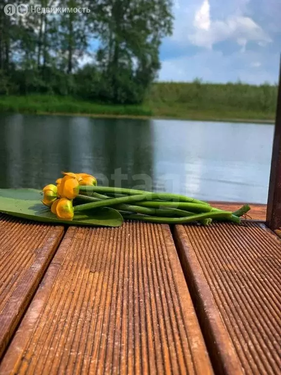Участок в Колыванский район, ДНТ Сибирская Волость, Купеческая улица ... - Фото 0