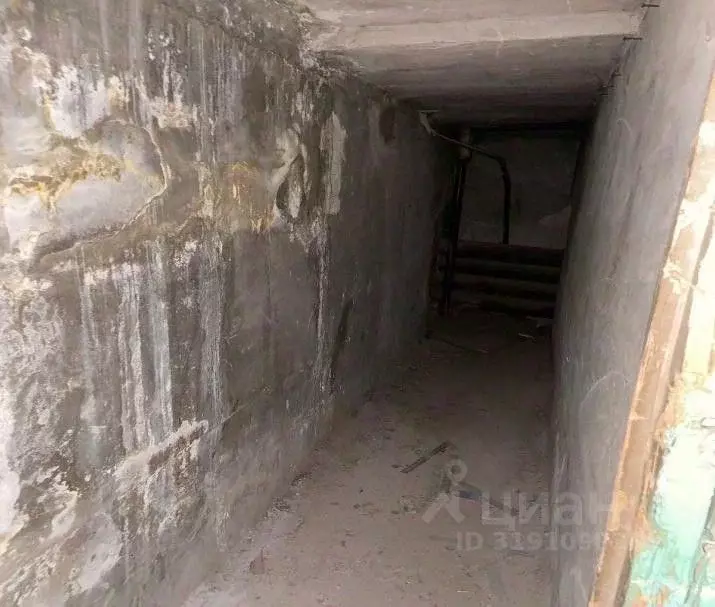 Помещение свободного назначения в Челябинская область, Магнитогорск ... - Фото 1
