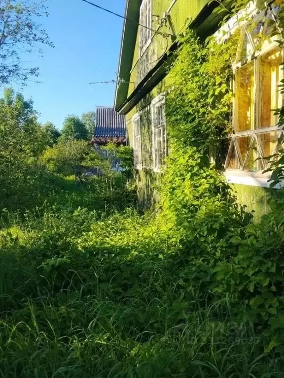 Дом в Ленинградская область, Кировское городское поселение, Грибное ... - Фото 2