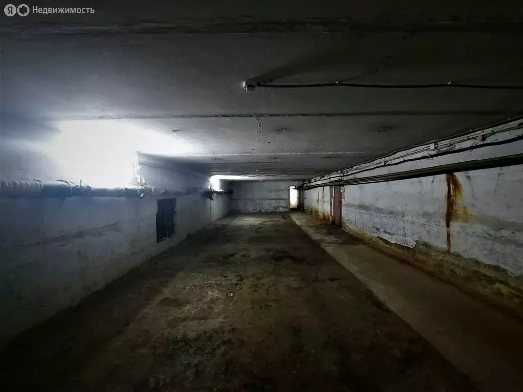 Помещение свободного назначения (675 м) - Фото 0