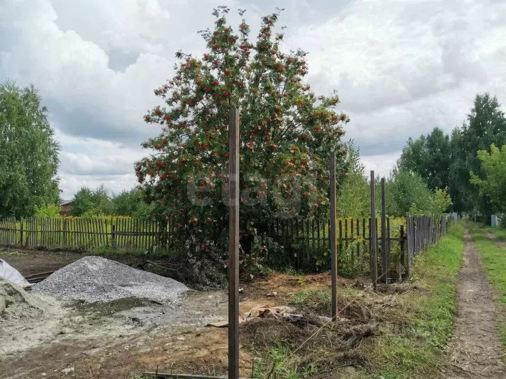 Участок в Новосибирская область, Ордынское рп, Рябинка СНТ ул. ... - Фото 1
