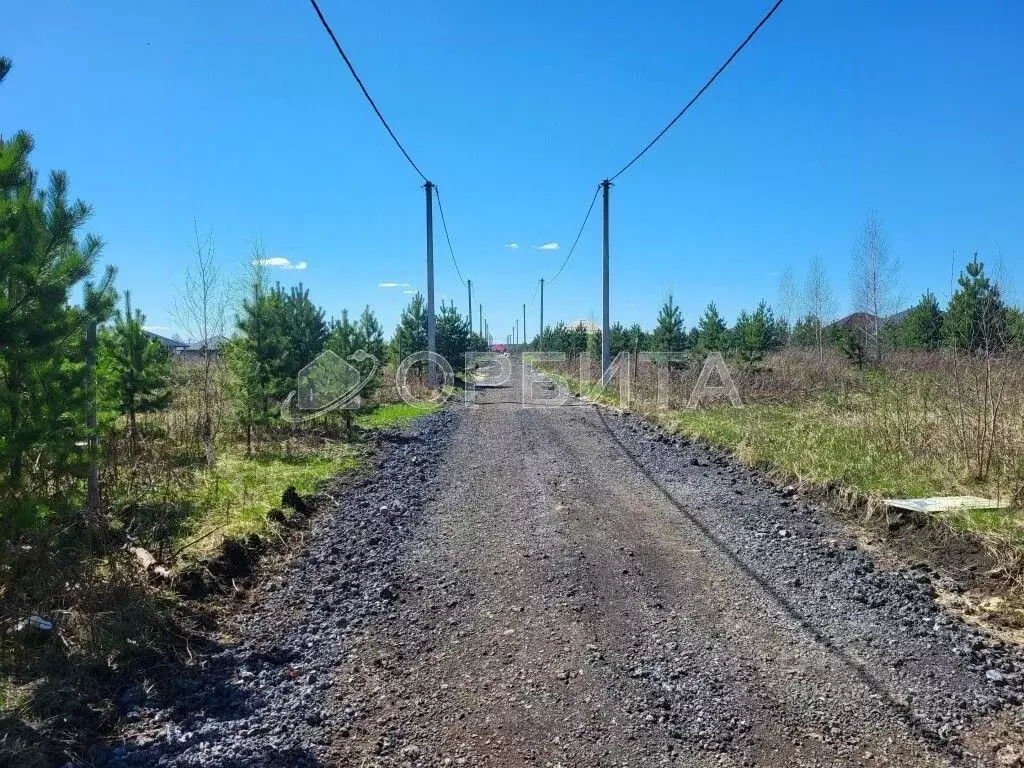 Участок в Тюменская область, Тюменский район, д. Елань, Хвойный кп  ... - Фото 1