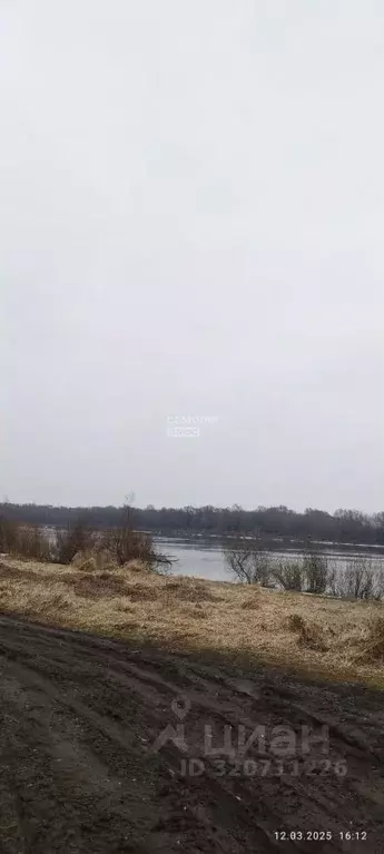 Участок в Рязанская область, Рыбновский район, Пощуповское с/пос, с. ... - Фото 2