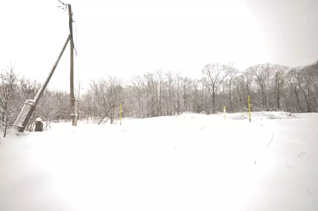 Участок в Сахалинская область, Анивский городской округ, с. Троицкое  ... - Фото 1