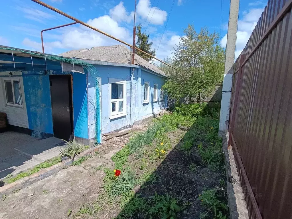 Дом в Белгородская область, Корочанский район, Алексеевское с/пос, с. ... - Фото 1