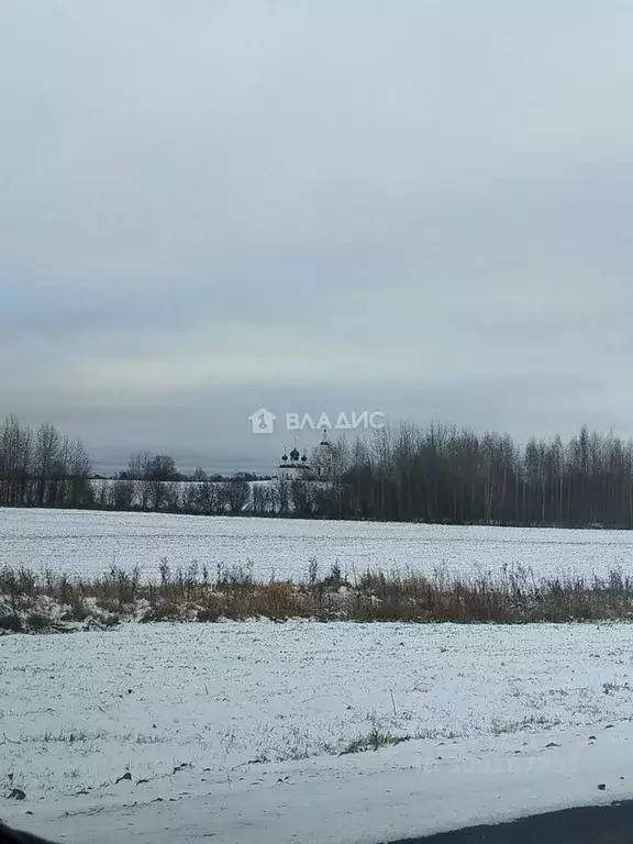 Участок в Вологодская область, д. Мидяново  (12.0 сот.) - Фото 1