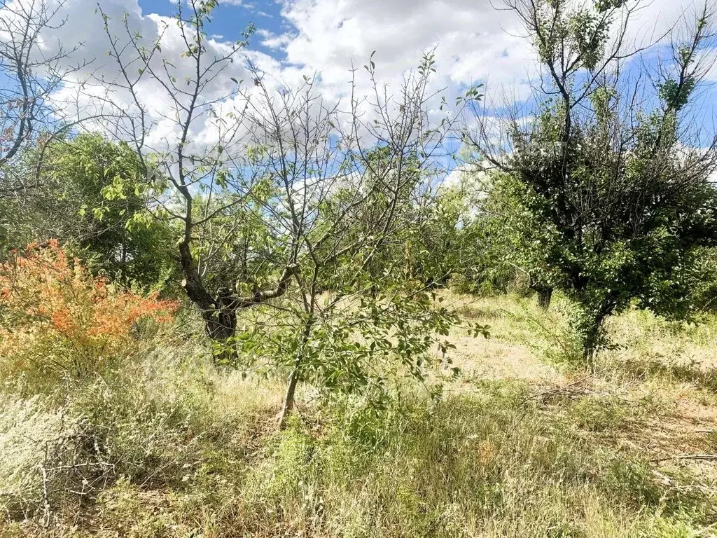 Участок в Волгоградская область, Городищенский район, Ерзовское ... - Фото 2