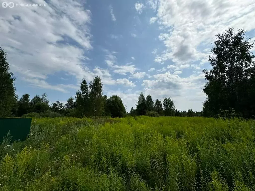 Участок в Нижегородская область, Городецкий муниципальный округ, ... - Фото 0