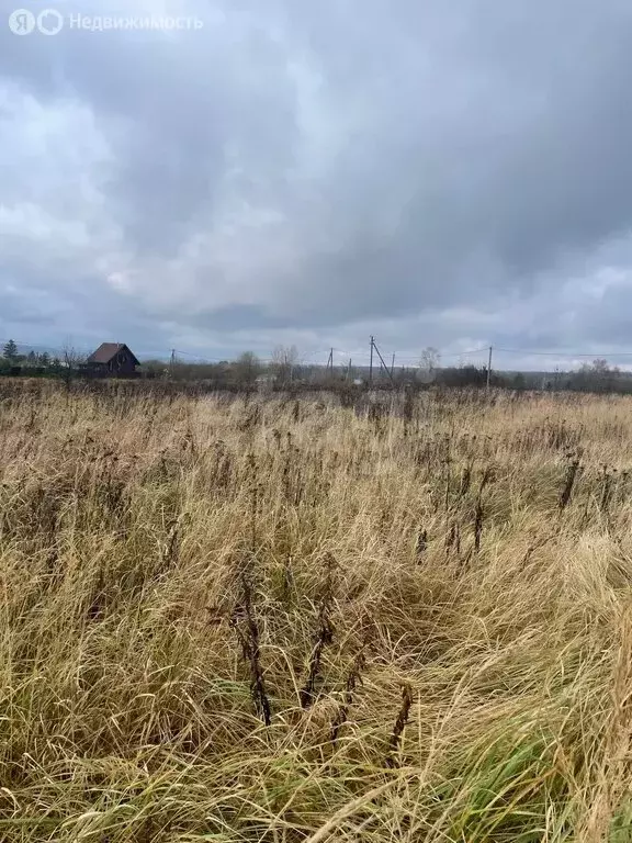 Участок в сельское поселение Воскресенское, деревня Слобода (16 м) - Фото 2