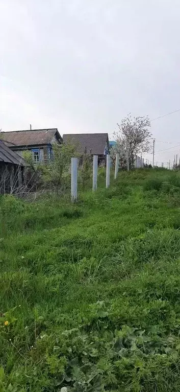 Участок в Ульяновская область, Старомайнский муниципальный округ, с. ... - Фото 2