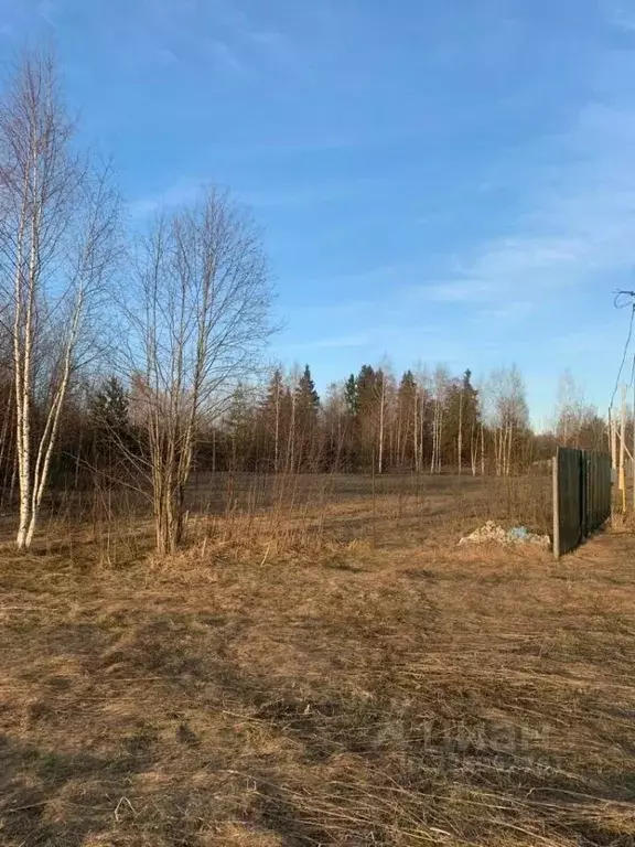 Участок в Ивановская область, Ивановский район, Богданихское с/пос, д. ... - Фото 2