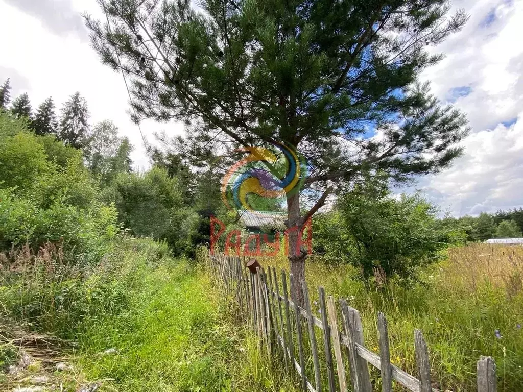 Участок 6 сот. (СНТ, ДНП) - Фото 0