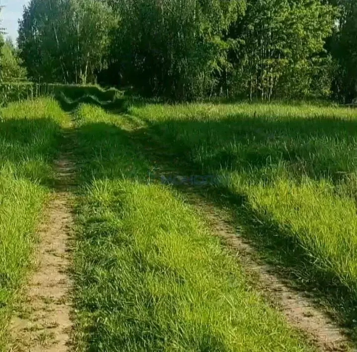 Участок в Нижегородская область, Чкаловск муниципальный округ, с. ... - Фото 1