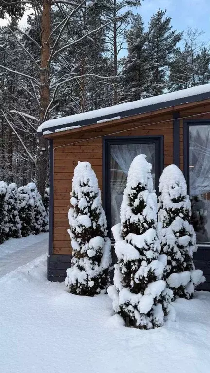 Дом в Ленинградская область, Приозерский район, Раздольевское с/пос, ... - Фото 2