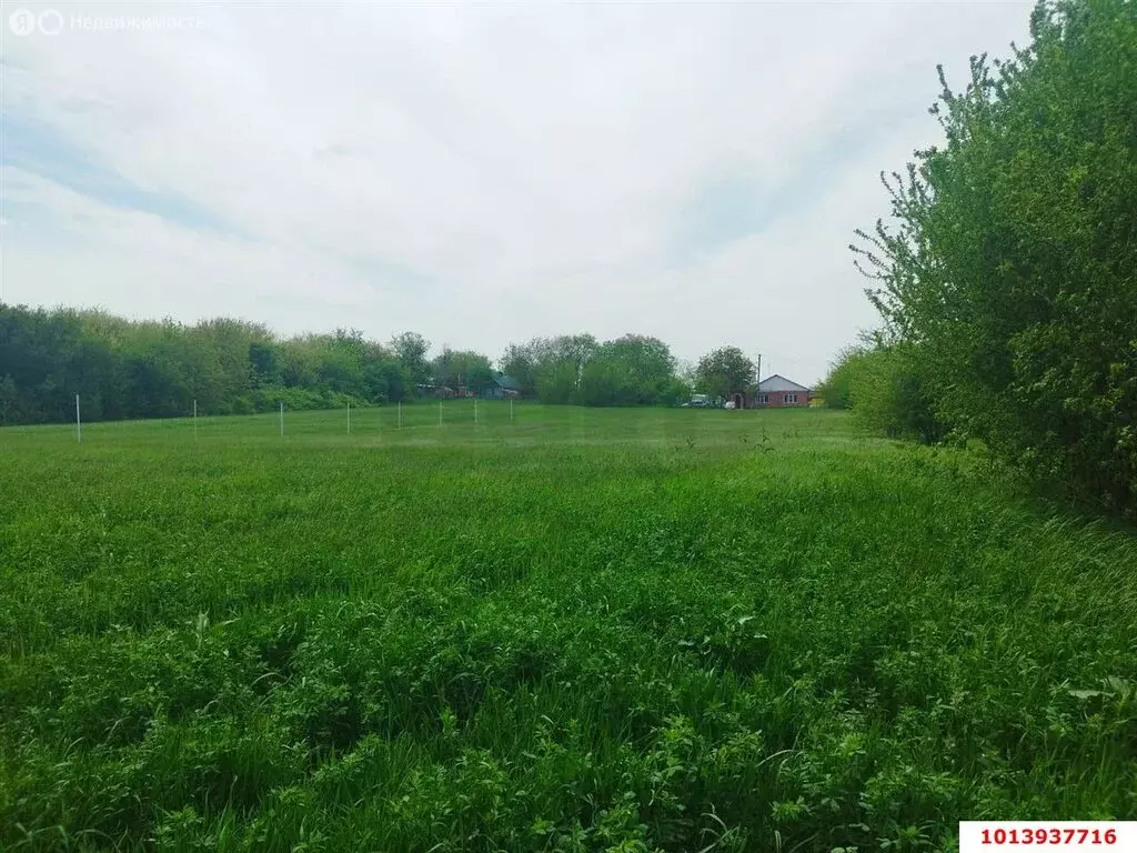 Участок в Северский район, Афипское городское поселение, посёлок ... - Фото 1