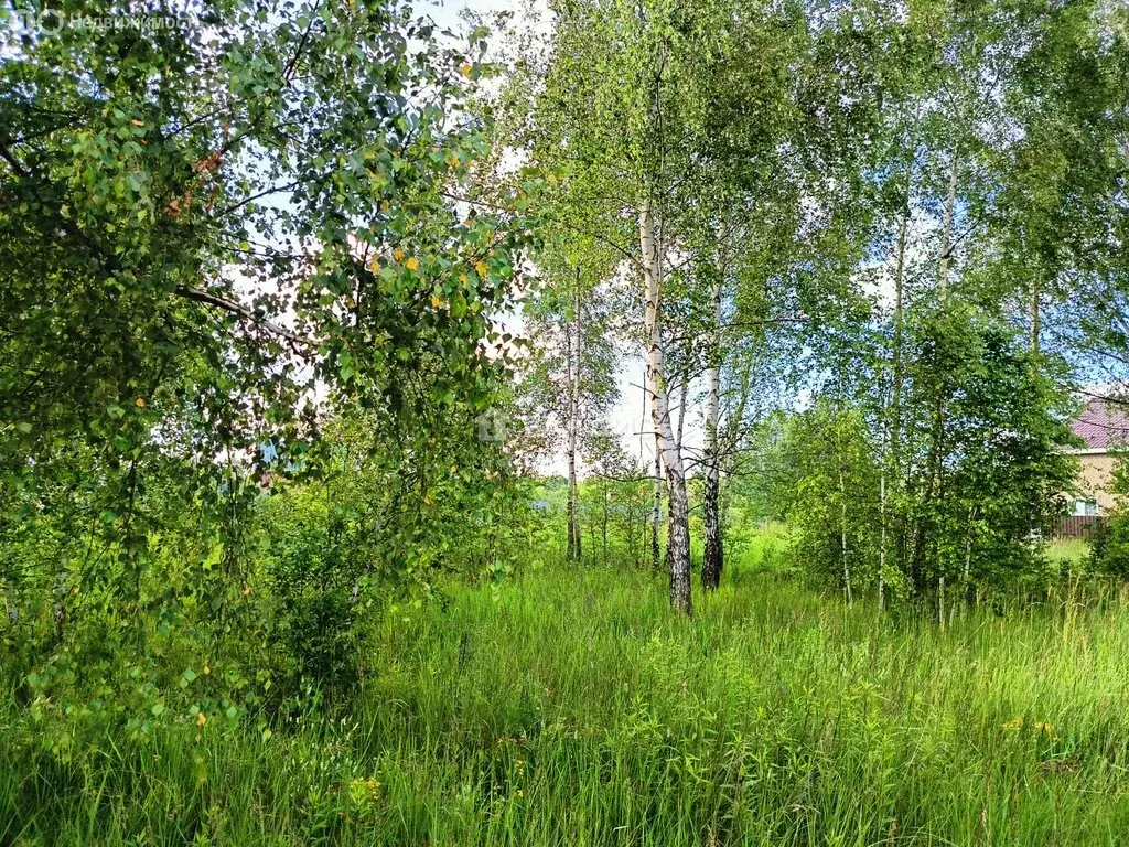 Участок в Московская область, Раменский муниципальный округ, ДНТ ... - Фото 1