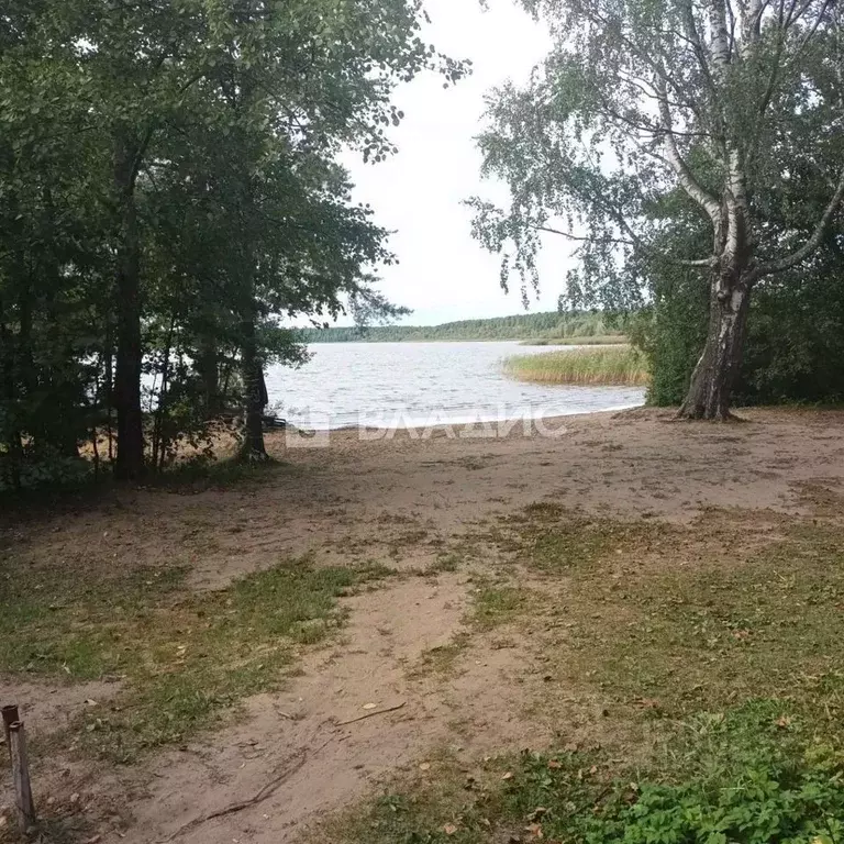 Участок в Ленинградская область, Всеволожский район, Куйвозовское ... - Фото 0