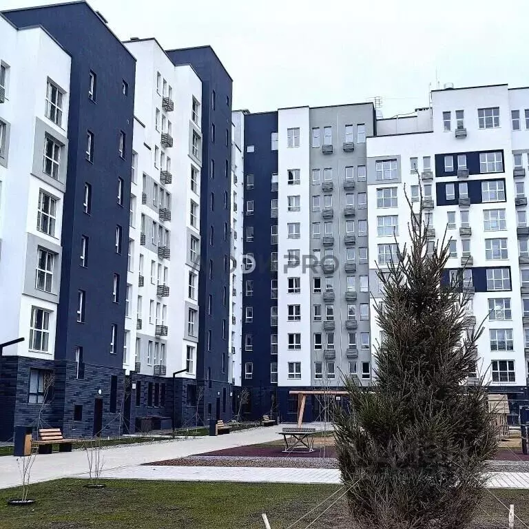 Студия Башкортостан, Уфа ул. Ивана Спатара, 16 (34.0 м) - Фото 2