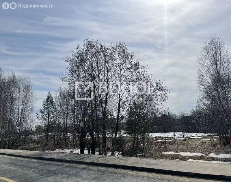 Участок в Ивановский район, Беляницкое сельское поселение, деревня ... - Фото 1