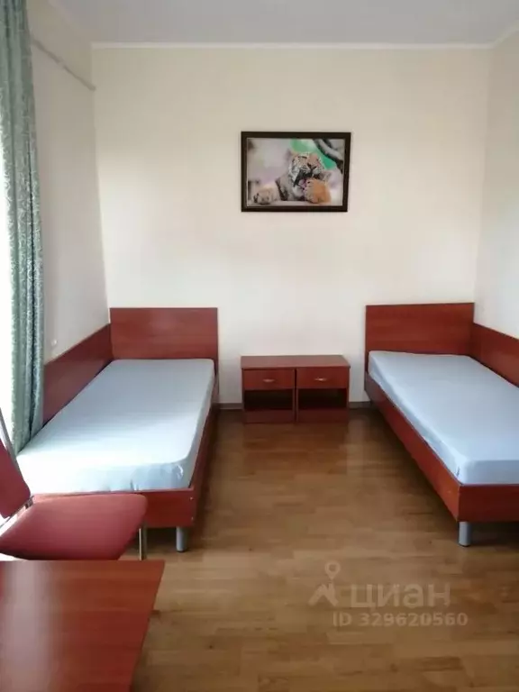 Комната Краснодарский край, Геленджик ул. Циолковского, 42 (15.0 м) - Фото 1