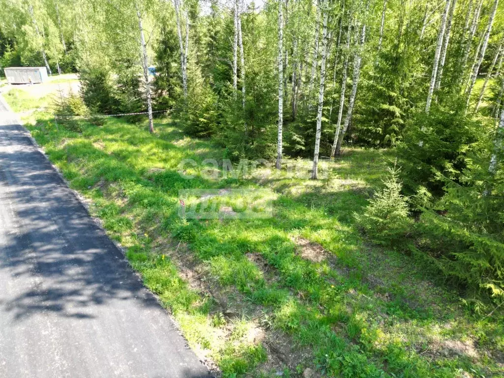 Участок в Московская область, Ступино городской округ, д. Гридюкино  ... - Фото 0