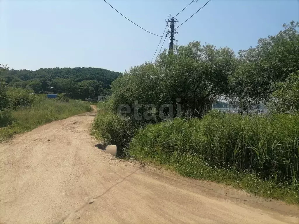 Участок в Приморский край, Хасанский муниципальный округ, пос. База ... - Фото 1