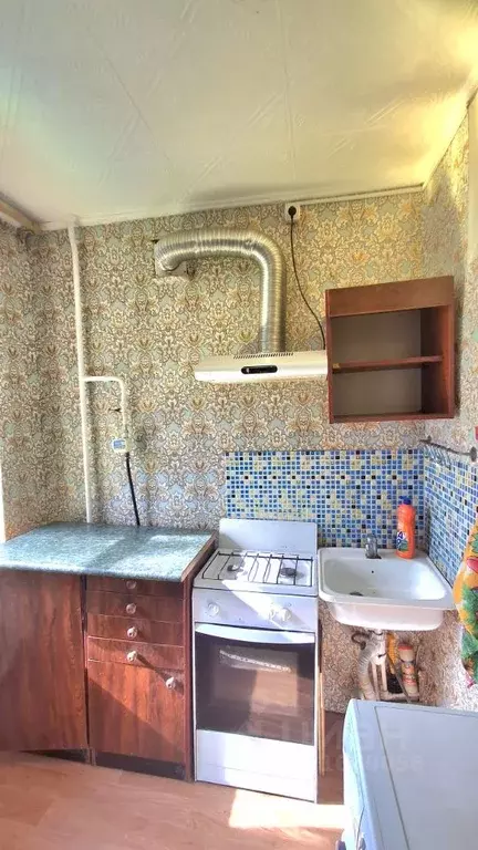 1-к кв. Омская область, Омск пос. Амурский, ул. Багратиона, 80 (25.0 ... - Фото 2