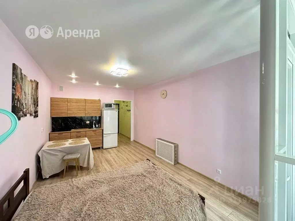 Студия Санкт-Петербург Планерная ул., 87к1 (27.0 м) - Фото 1