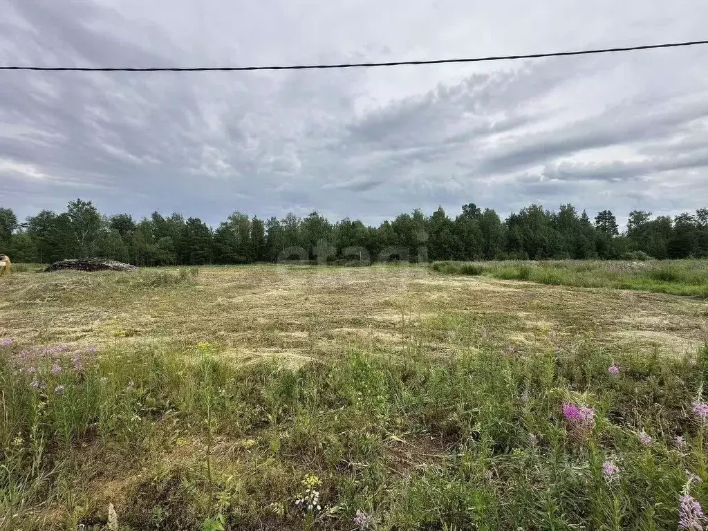Участок в Тюменская область, Тюменский муниципальный округ, д. ... - Фото 1
