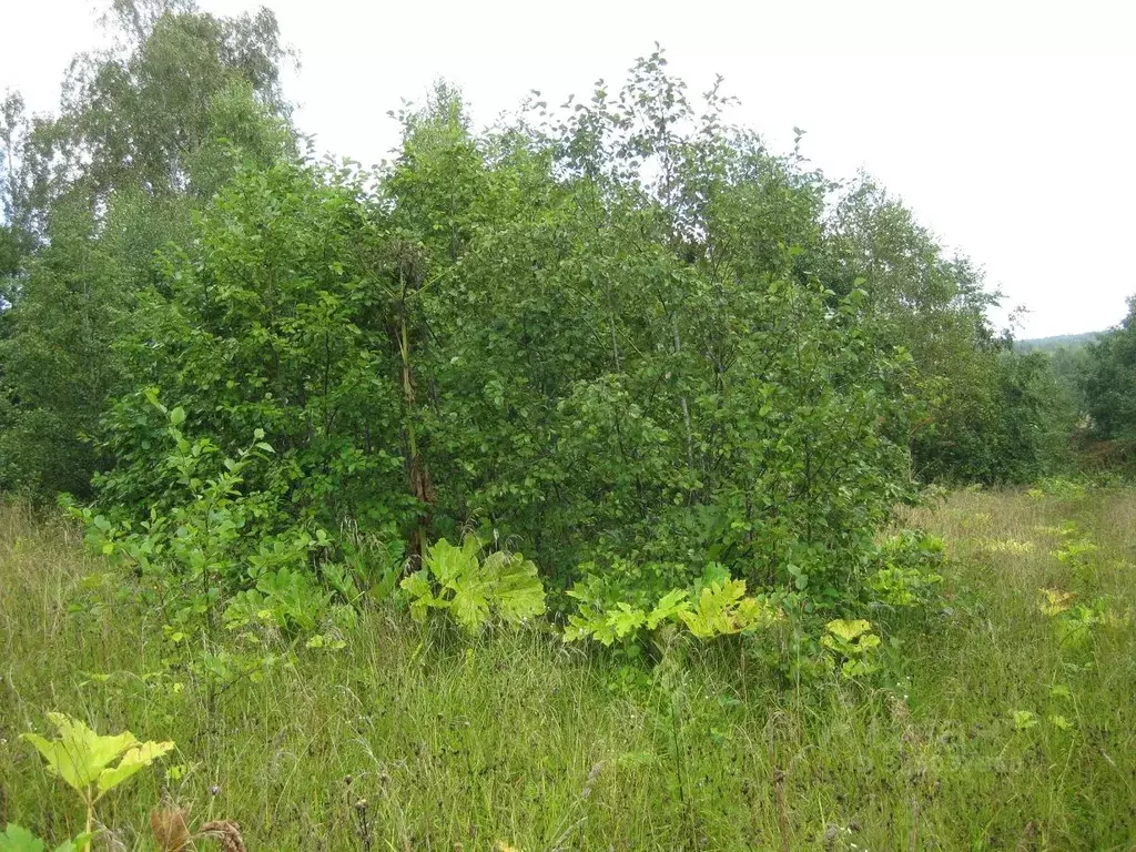 Участок в Московская область, Рузский муниципальный округ, д. Барынино ... - Фото 1