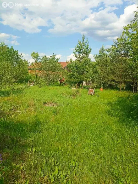 Участок в Петушинский район, муниципальное образование Нагорное, ... - Фото 0