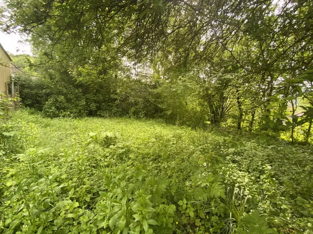 Участок в Краснодарский край, Геленджик муниципальное образование, с. ... - Фото 2