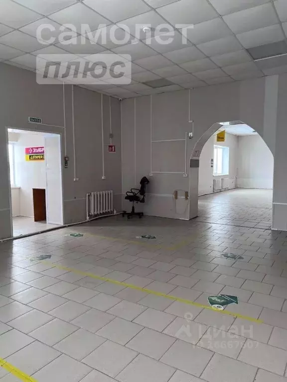 Торговая площадь в Оренбургская область, с. Беляевка ул. Южная, 81в . - Фото 1