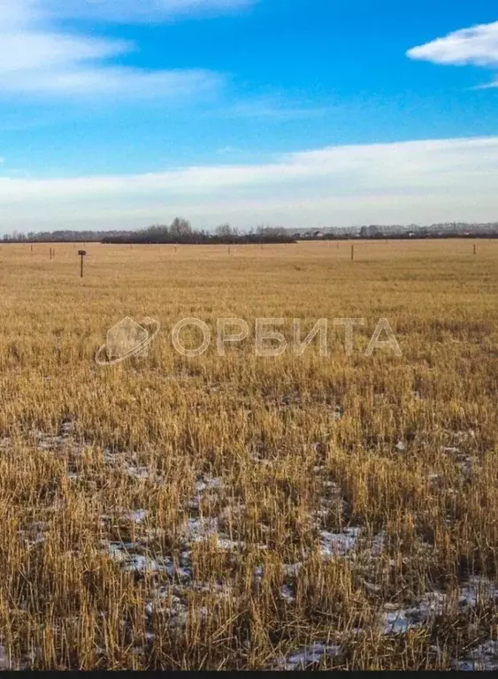 Участок в Тюменская область, Тюменский район, с. Чикча  (6.0 сот.) - Фото 0